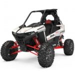 RZR RS1